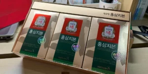 홍삼지본