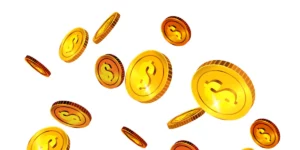 동전(coin)